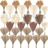 620 PCS Dried Pampas Grass Decor, Dried Flower Bouquets For Wedding, Home, Centerpiece Table, Modern Home, Western Living Room, Nurserie, Nursery, Boho Room, Beach, Women Office, And Boho Decor